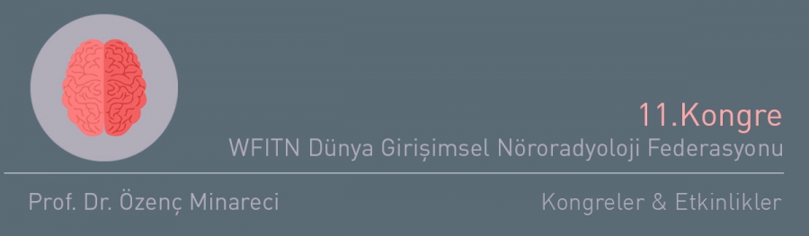 WFITN Dünya Girişimsel Nöroradyoloji Federasyonu 11.Kongresi